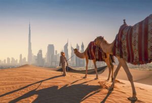 Dubai City Tour + Desert Safari