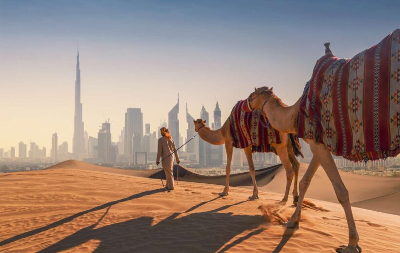 Dubai City Tour + Desert Safari