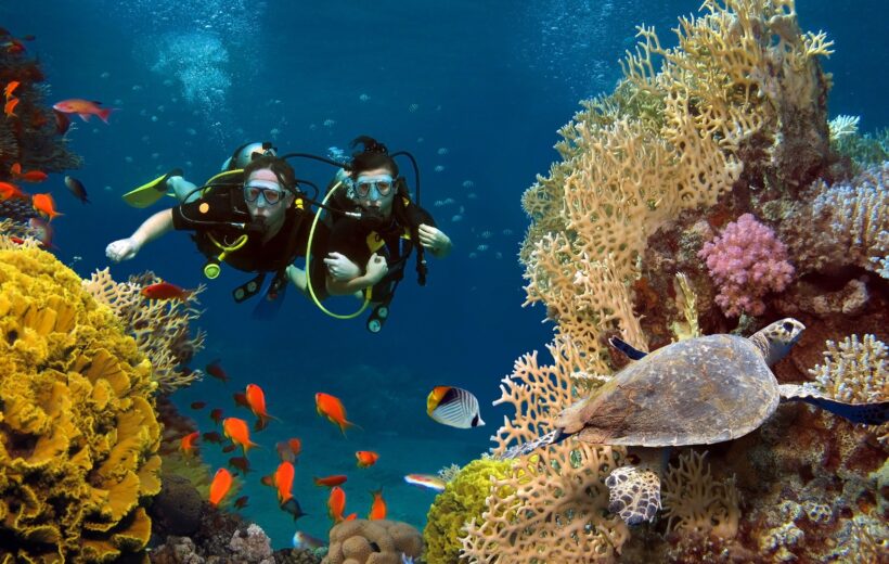 Scuba Diving